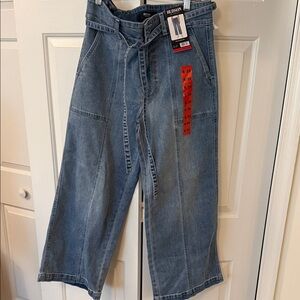 Hudson Jeans Women's Light Blue Flare Denim